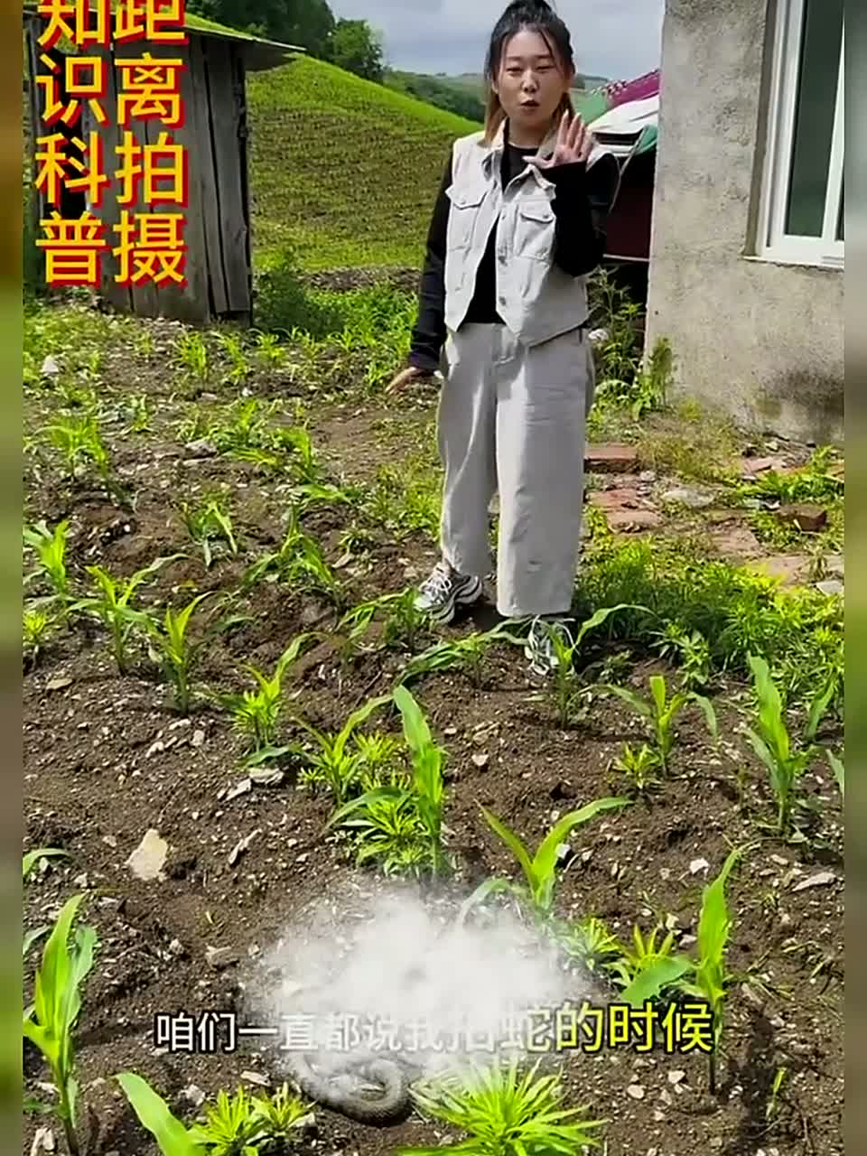 头一回见到这么大的野鸡脖子，东北最好看的蛇