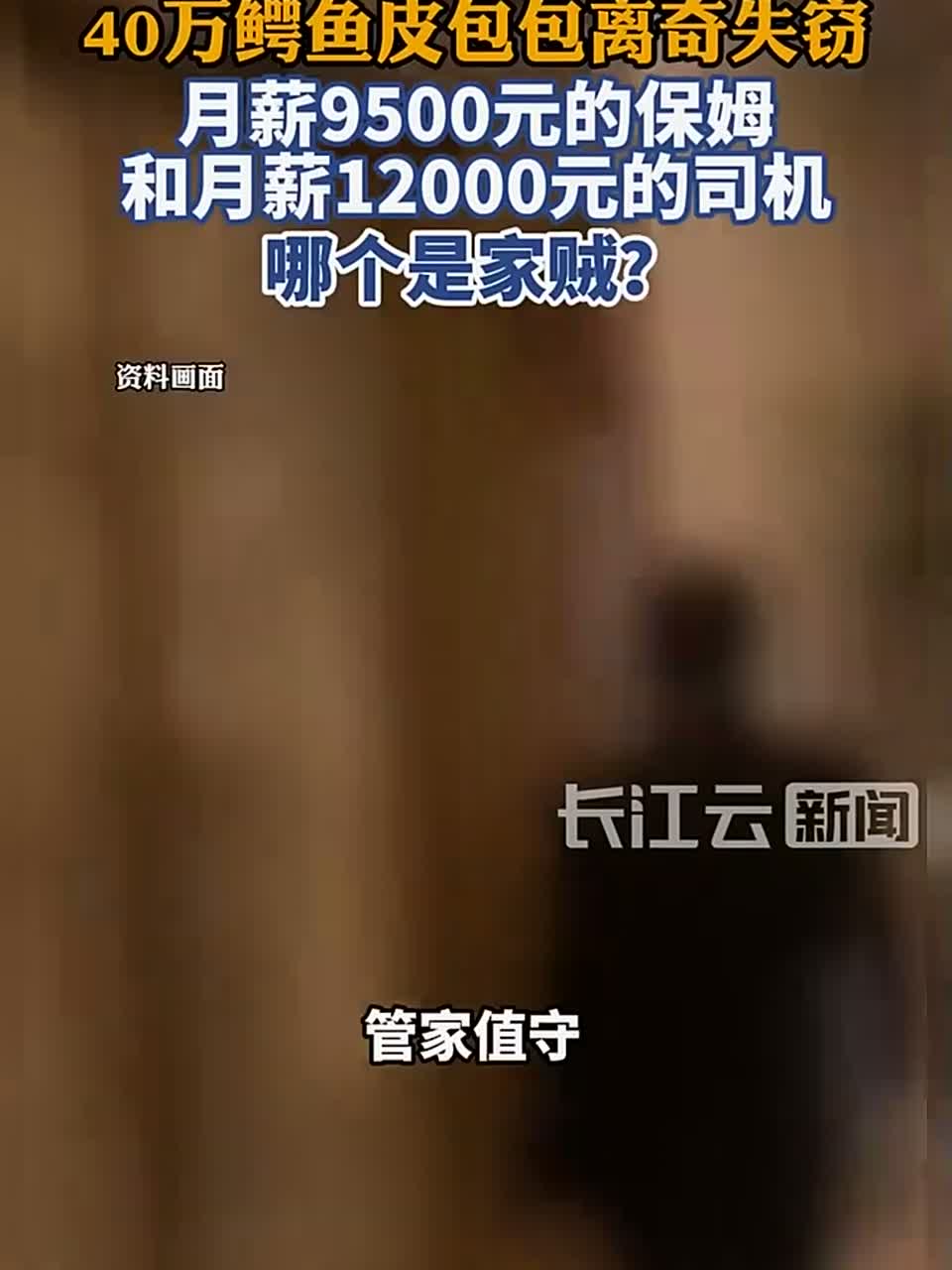 豪宅里40万鳄鱼皮包包离奇失窃，月薪9500元的保姆和月薪12000元的司机，哪个是家贼？