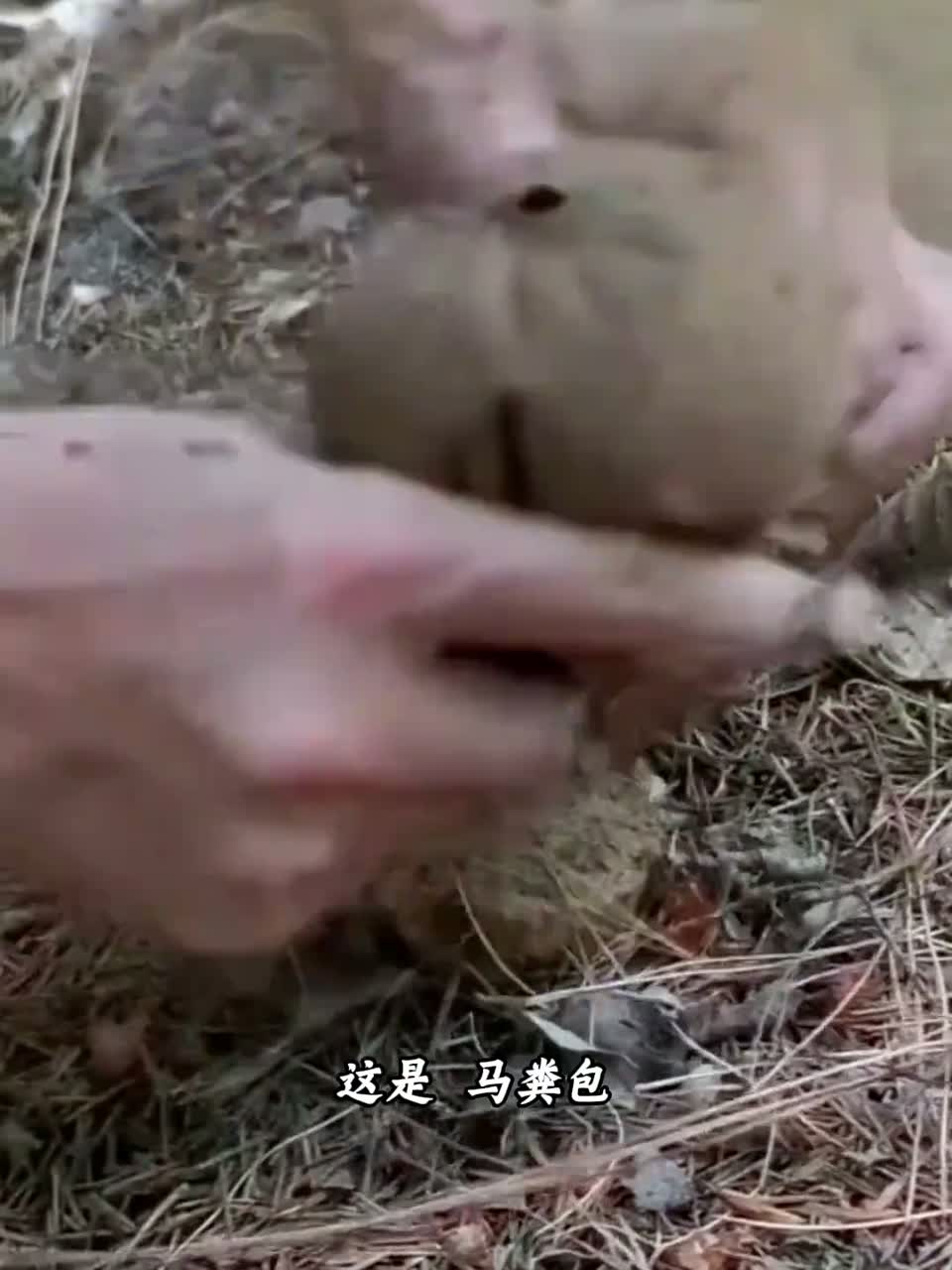 20种不常见的菜，你吃过哪几种？