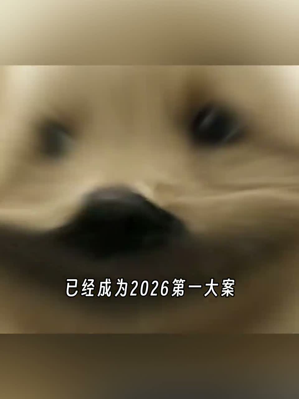 这就是轰动京城的次渠嘉园大公鸡案