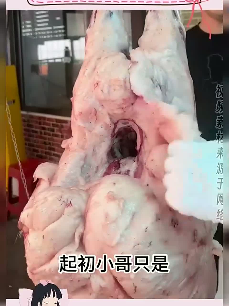 不懂就问，这算不算被坑了，谁家的羊肉这么肥啊！