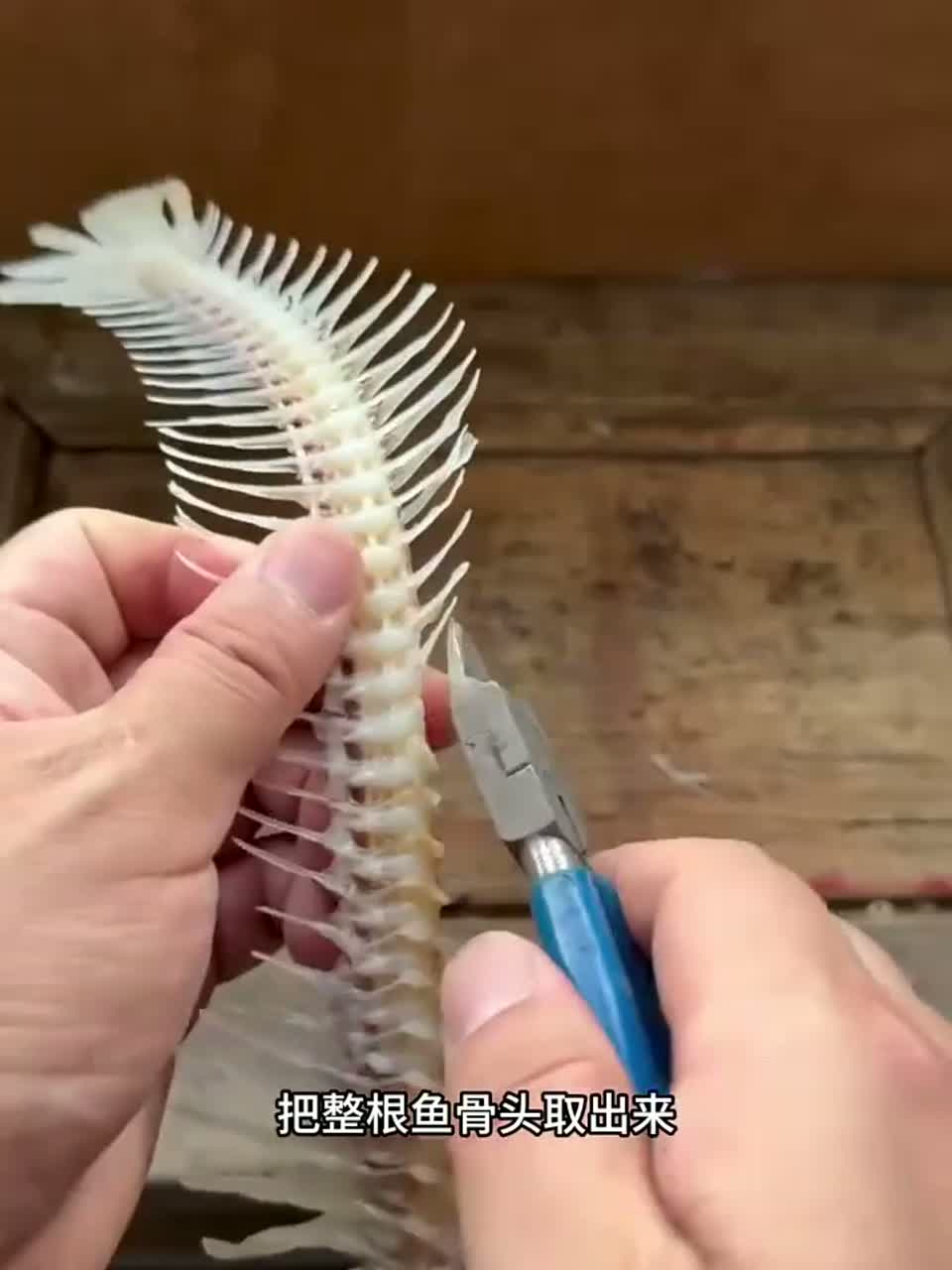 海鲜大作战：鱼骨制作手链教程