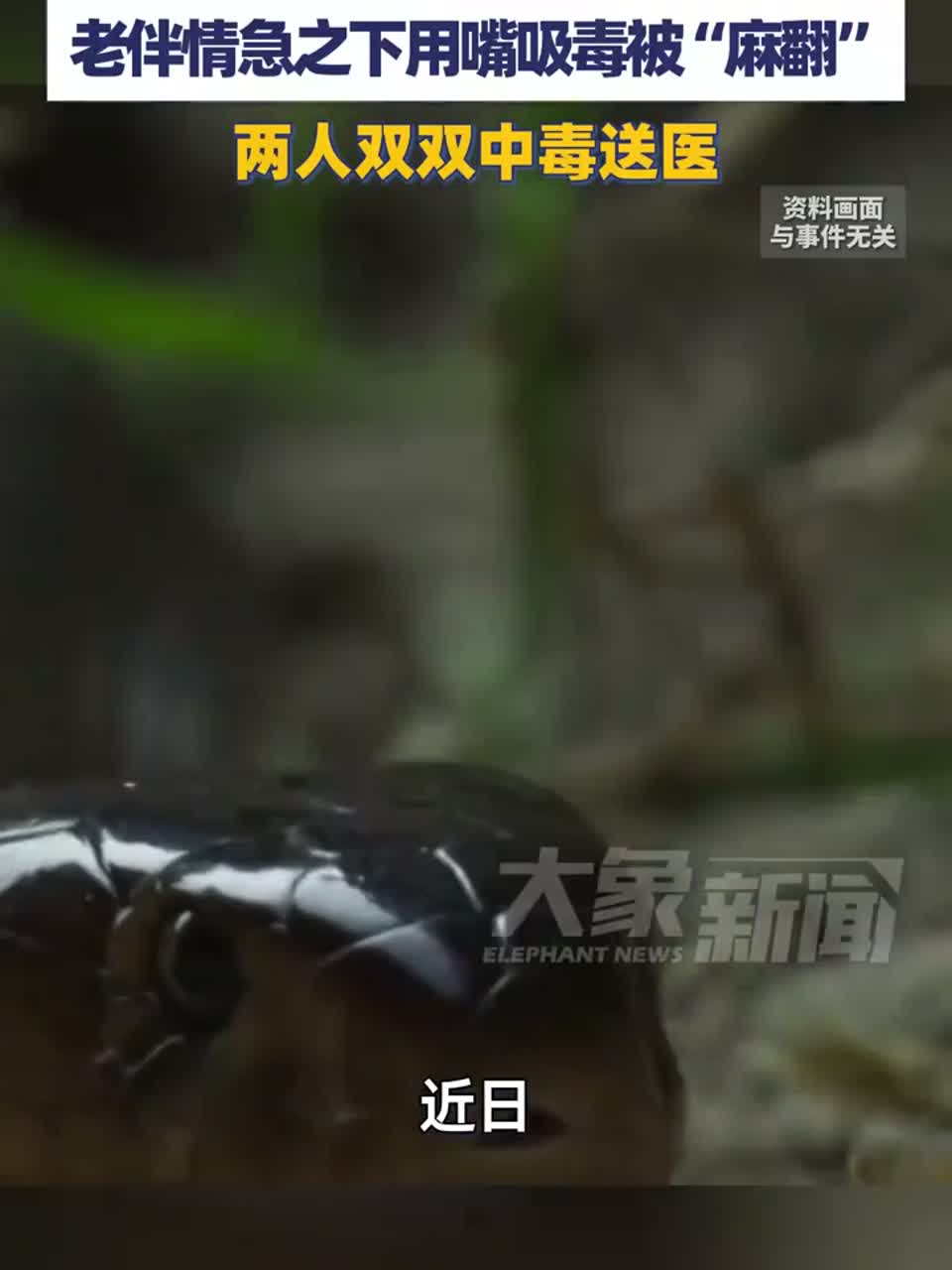 大爷被蛇咬后，老伴用嘴吸毒双双中毒送医