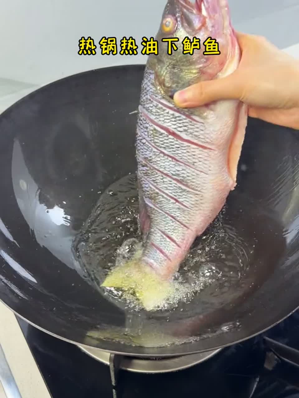今天又安排上了，百吃不厌的鲈鱼鲜虾炖花甲，三鲜齐聚，巨鲜美，全家都爱吃