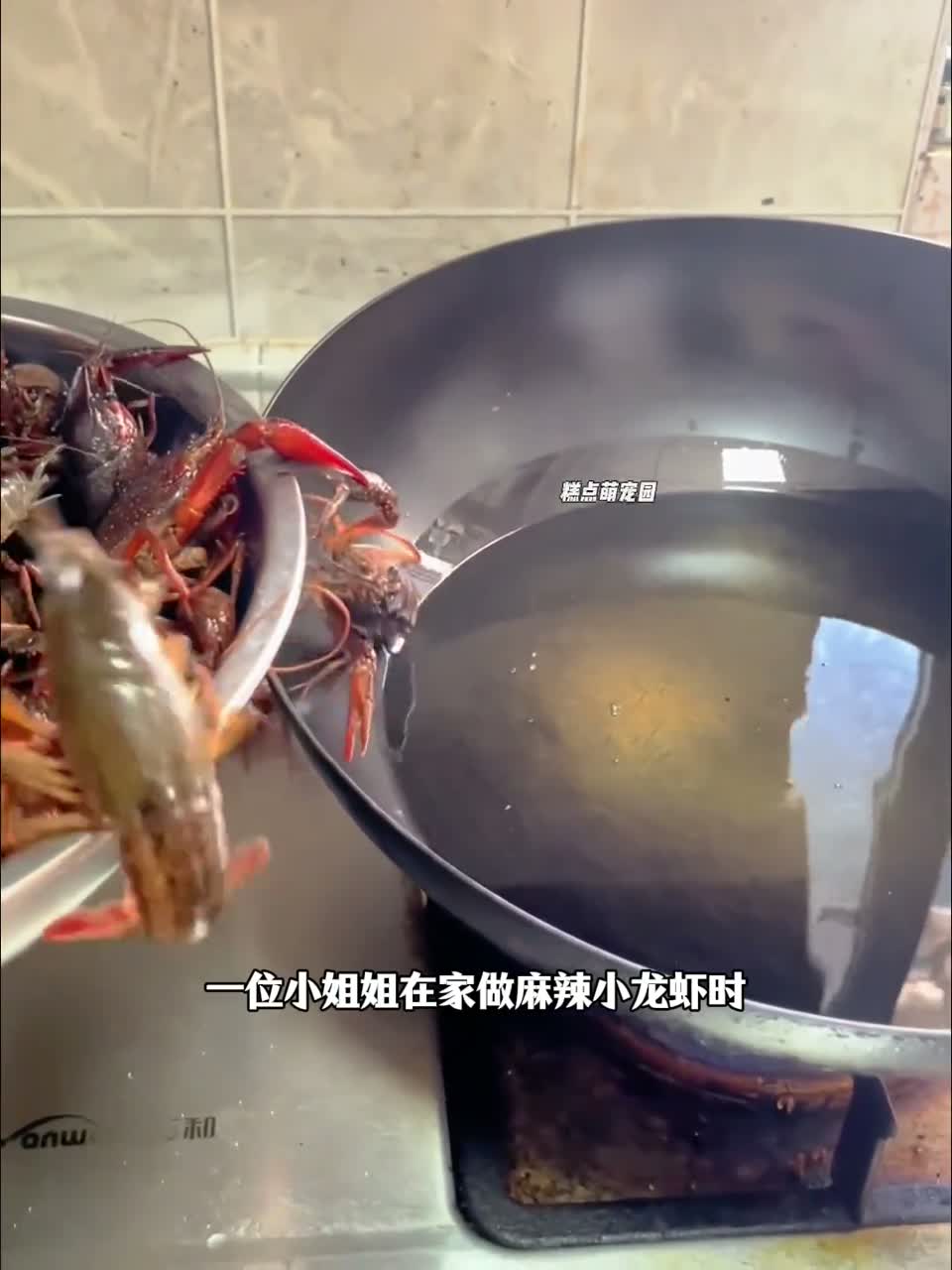 小姐姐做麻辣小龙虾时，发现一只龙虾磕头叩首，温馨画面感动众人