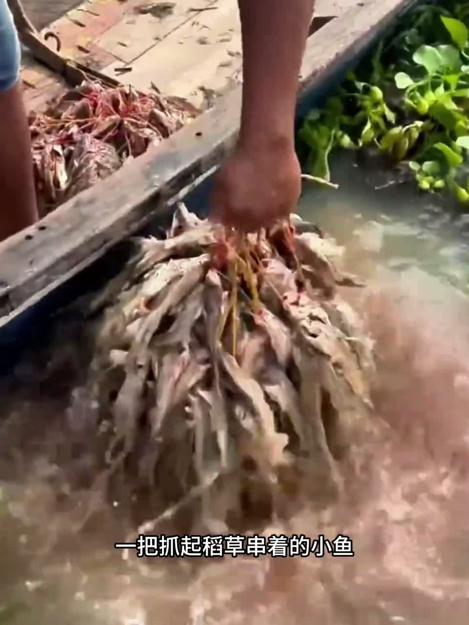渔民大哥豪放洗鱼，稻草串鱼狂甩乱舞，水花四溅超震撼！