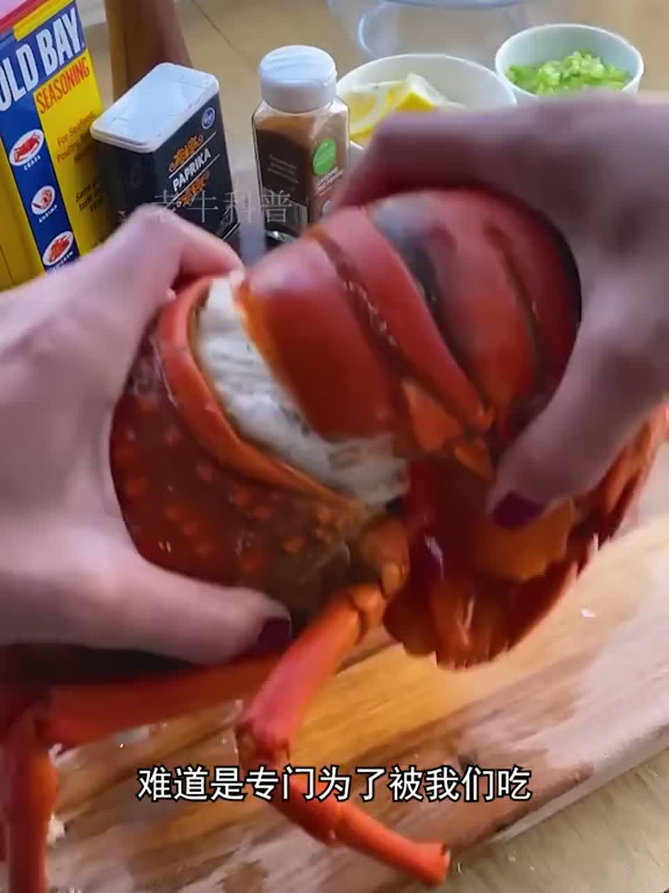 虾的进化竟然是为了被吃？真相颠覆你的想象！