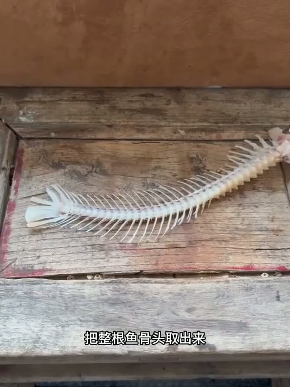海鲜大作战：鱼骨制作手链教程
