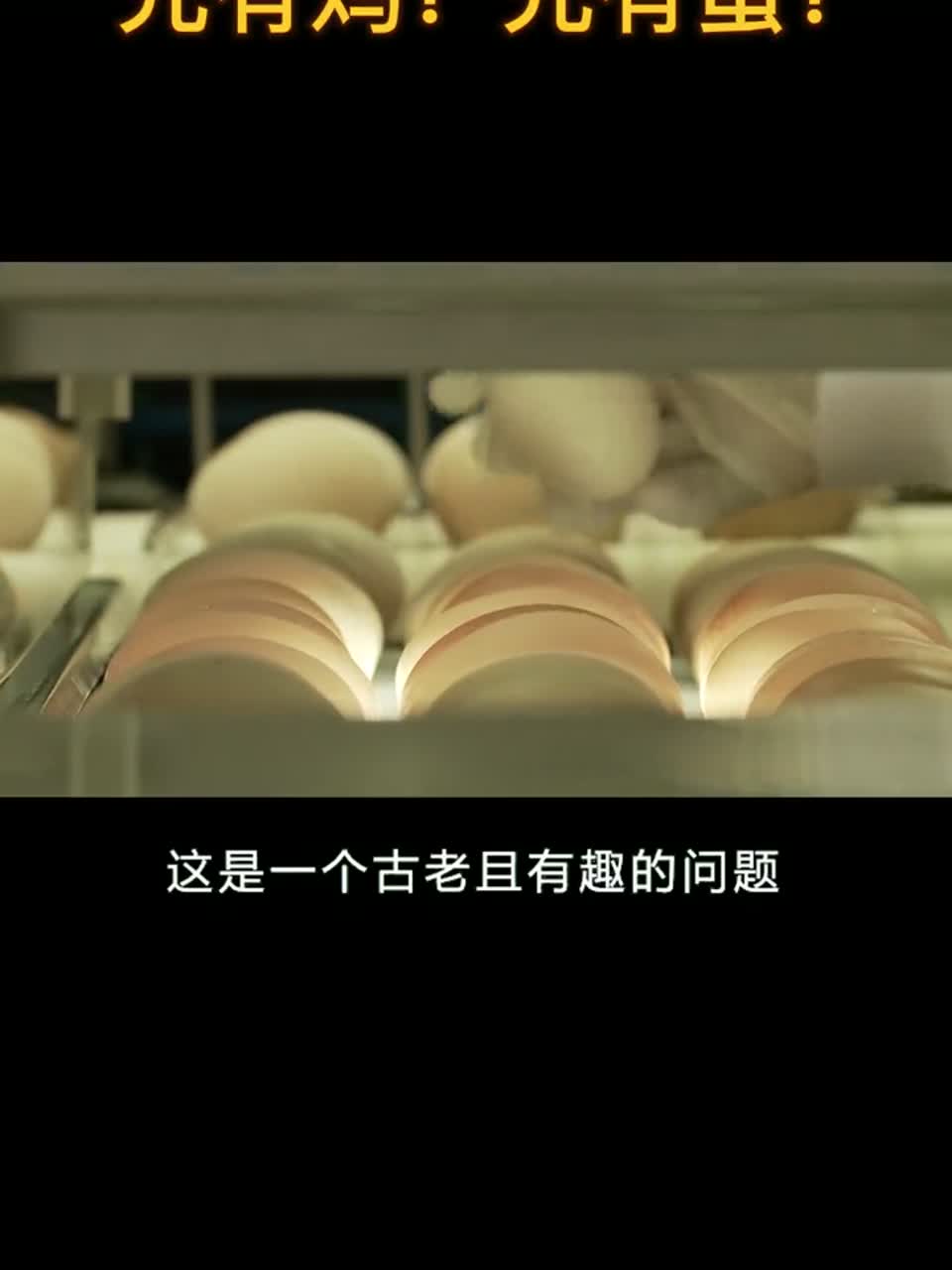 到底是先有鸡还是先有蛋？我知道答案