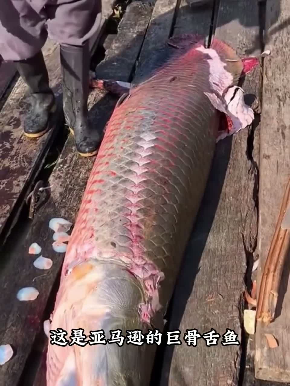 人类的禁区，这里有可能是世界上最恐怖的地方