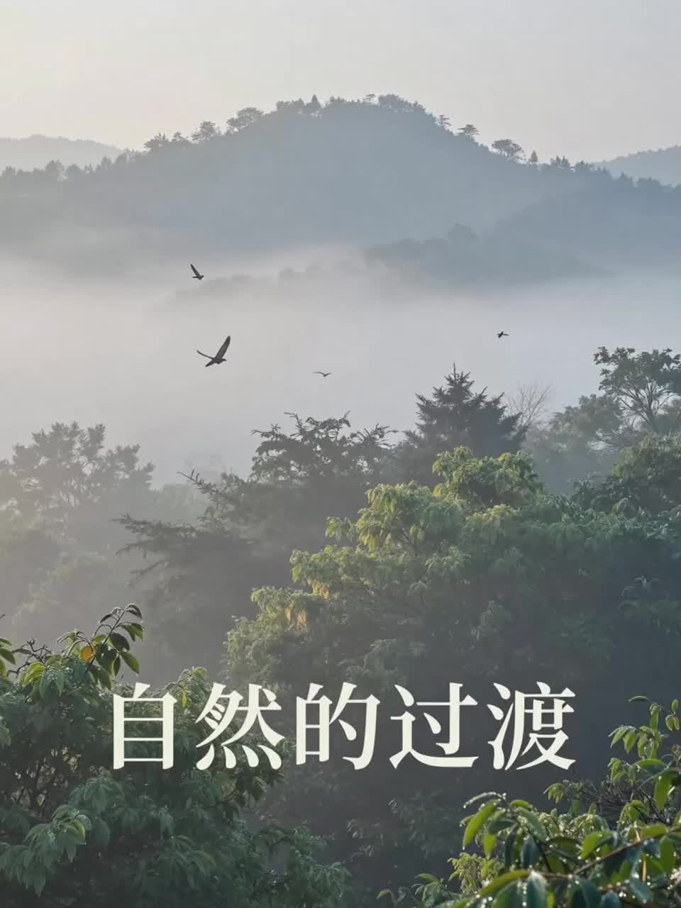 清晨锅贴贴锅的滋啦声，底板脆才正宗