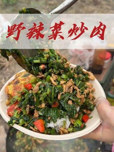 不知道你们有没有吃过野辣菜没?每到过完年的春天,我们就会开车去长江上提上采摘野辣菜,这个时