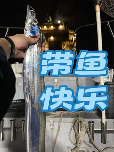 钓带鱼的快乐谁懂?带鱼 夜钓 钓鱼发烧友 钓鱼人的生活