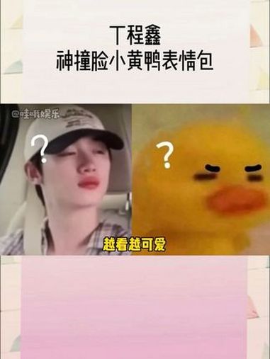 丁程鑫 你还别说,咱们嘀嘀咕咕这个表情和小黄鸭问号表情包真的好相像呀,我说最呆萌的一集就这