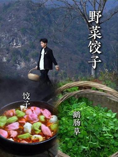 冬至将至 上山挖筐野菜,包成饺子,咬一口,是自然的馈赠,也是家的味道~ #我在村里过冬至 