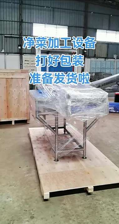 净菜加工设备发货啦 食品机械设备 净菜加工设备 工厂实拍视频