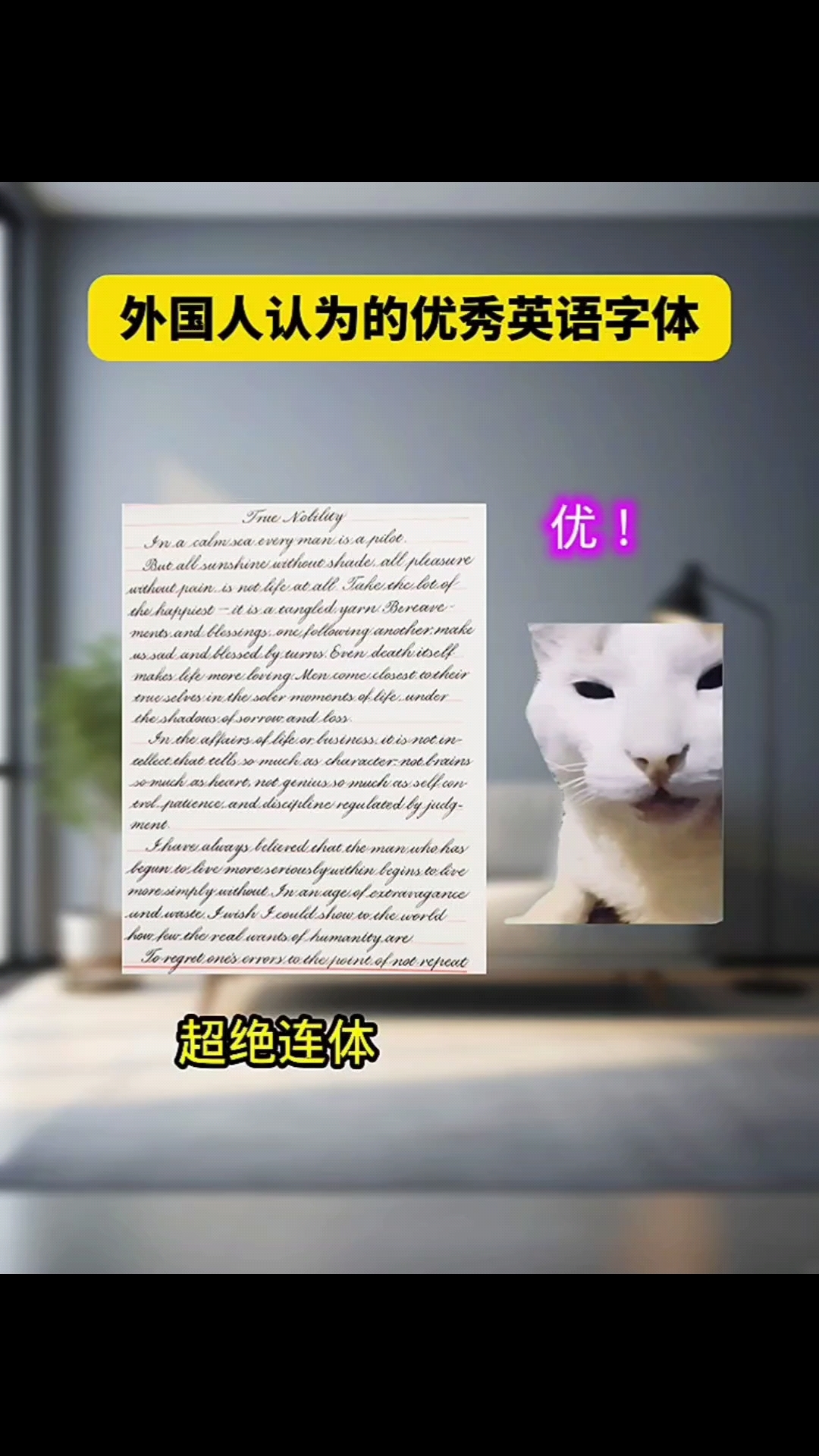 那些优秀的英文字体