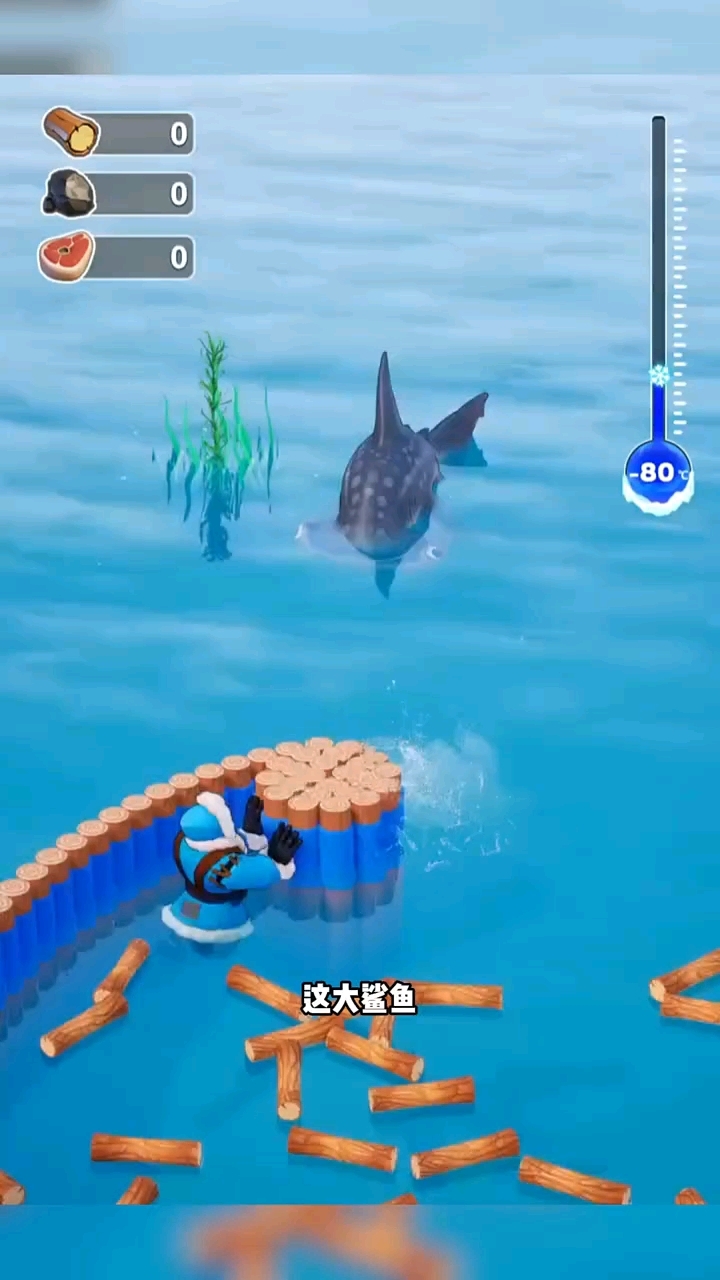 大鲨鱼差点进来了