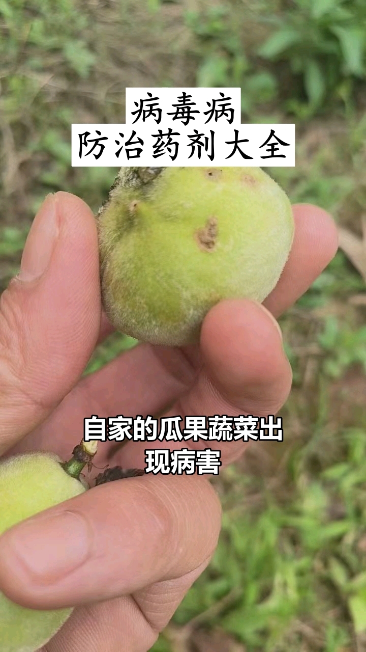 病毒三天净,病毒三天净