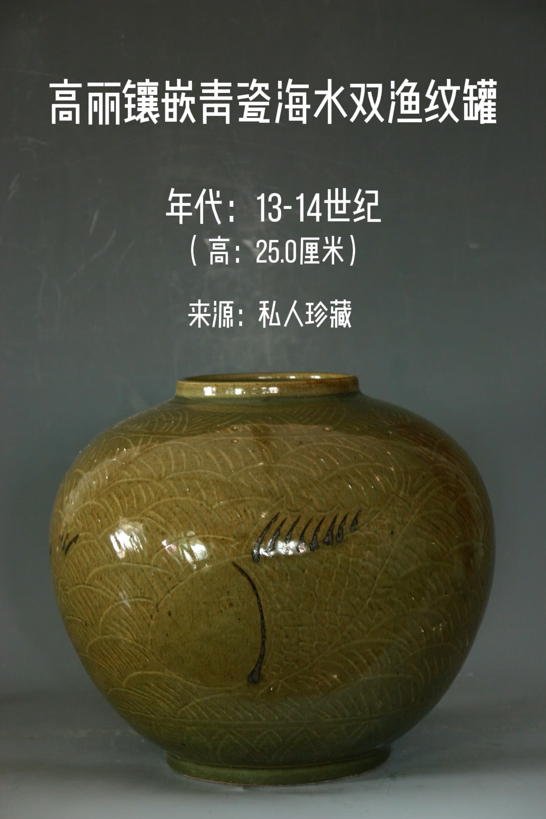 高丽镶嵌青瓷海水鱼纹罐