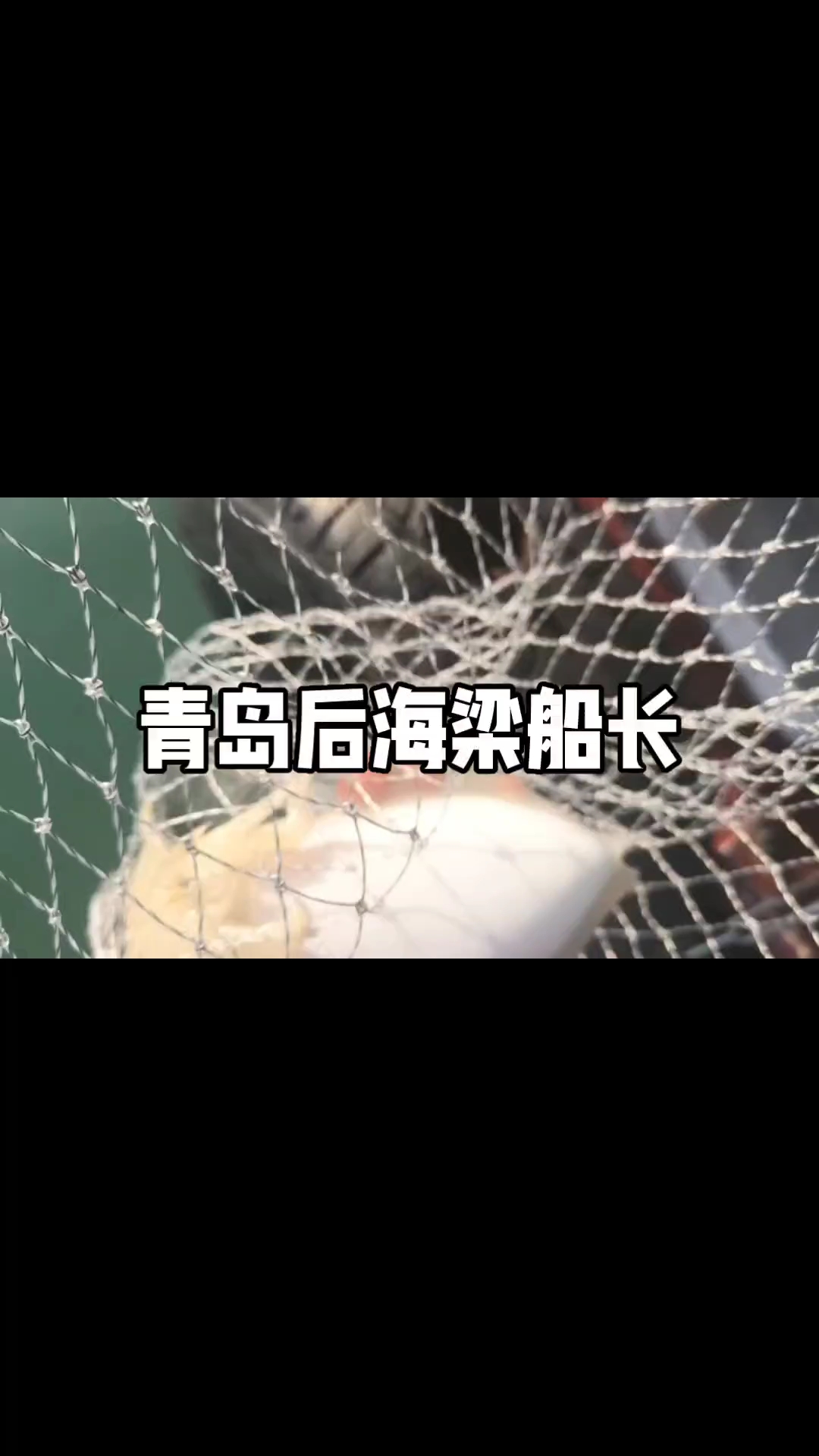青岛后海梁船长,看看墨鱼这个头,越来越大,越大越不好钓了,越