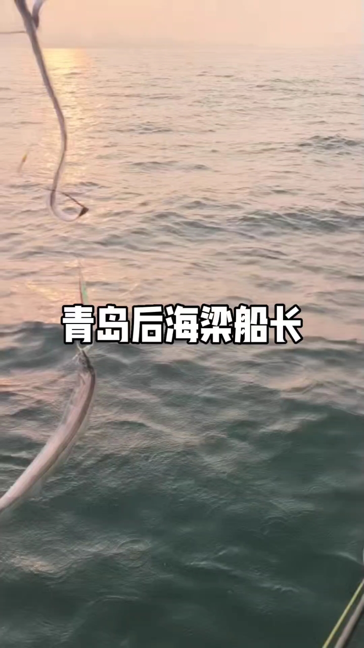 青岛后海梁船长,媳妇的3飞刀鱼,鱼口就是这么暴躁,一天一个样