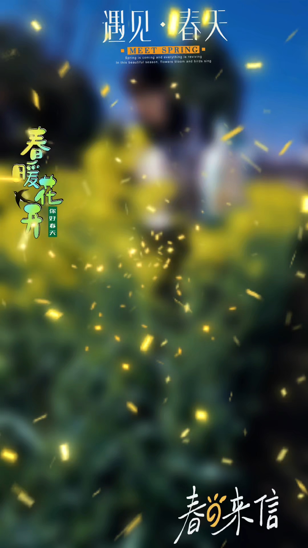 油菜花田随拍视频
