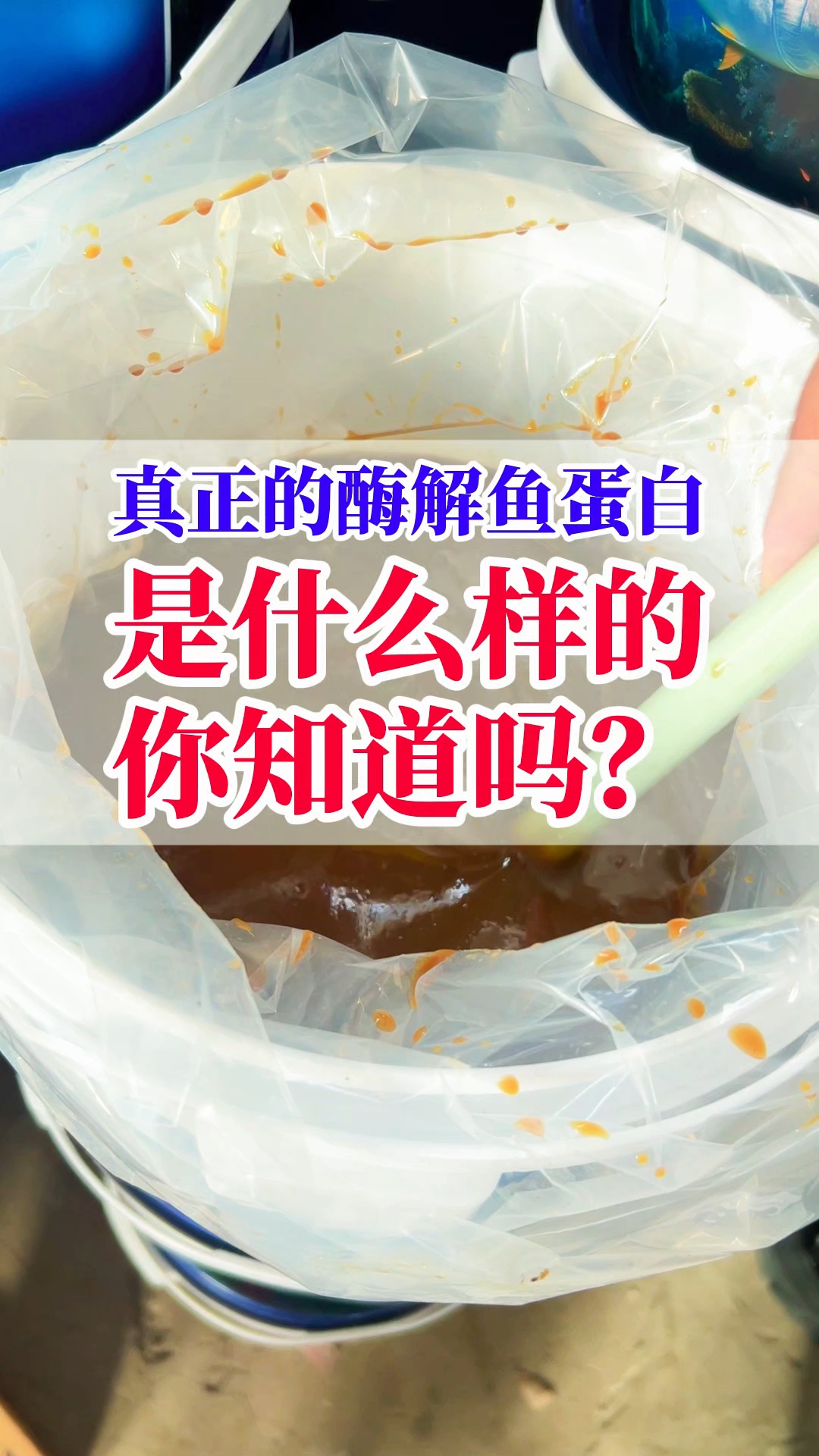 真正的鱼蛋白是什么样的,您知道吗?#鱼蛋白#酶解鱼蛋白