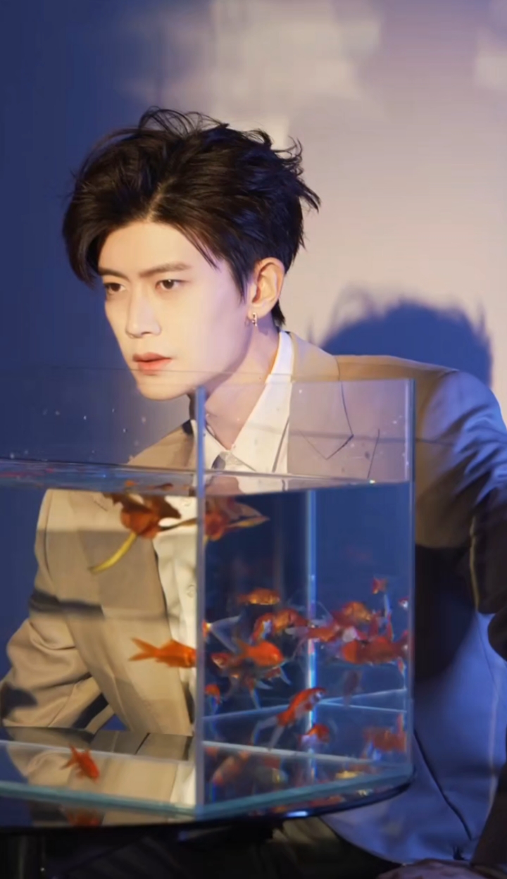 猫咪和鱼,我们猫爸的日常