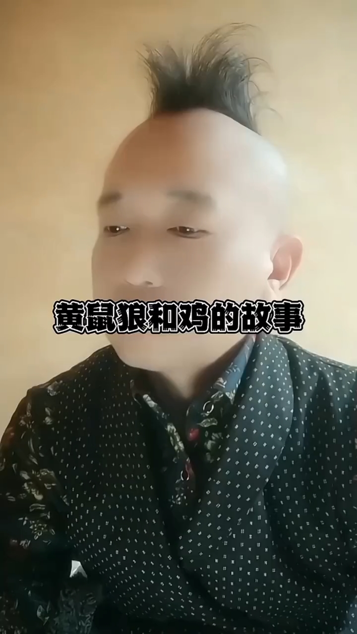 黄鼠狼和鸡的故事!