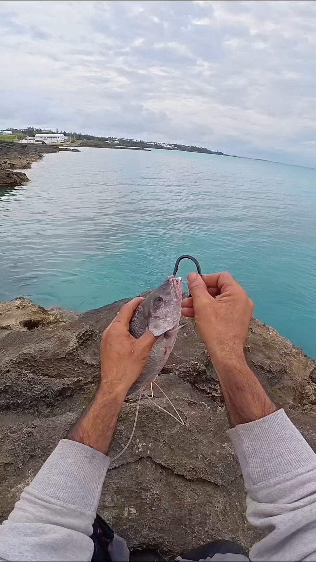 钓鱼佬用新奇的方法挂鱼饵，钓到一条大石斑，可最后却让他失望了