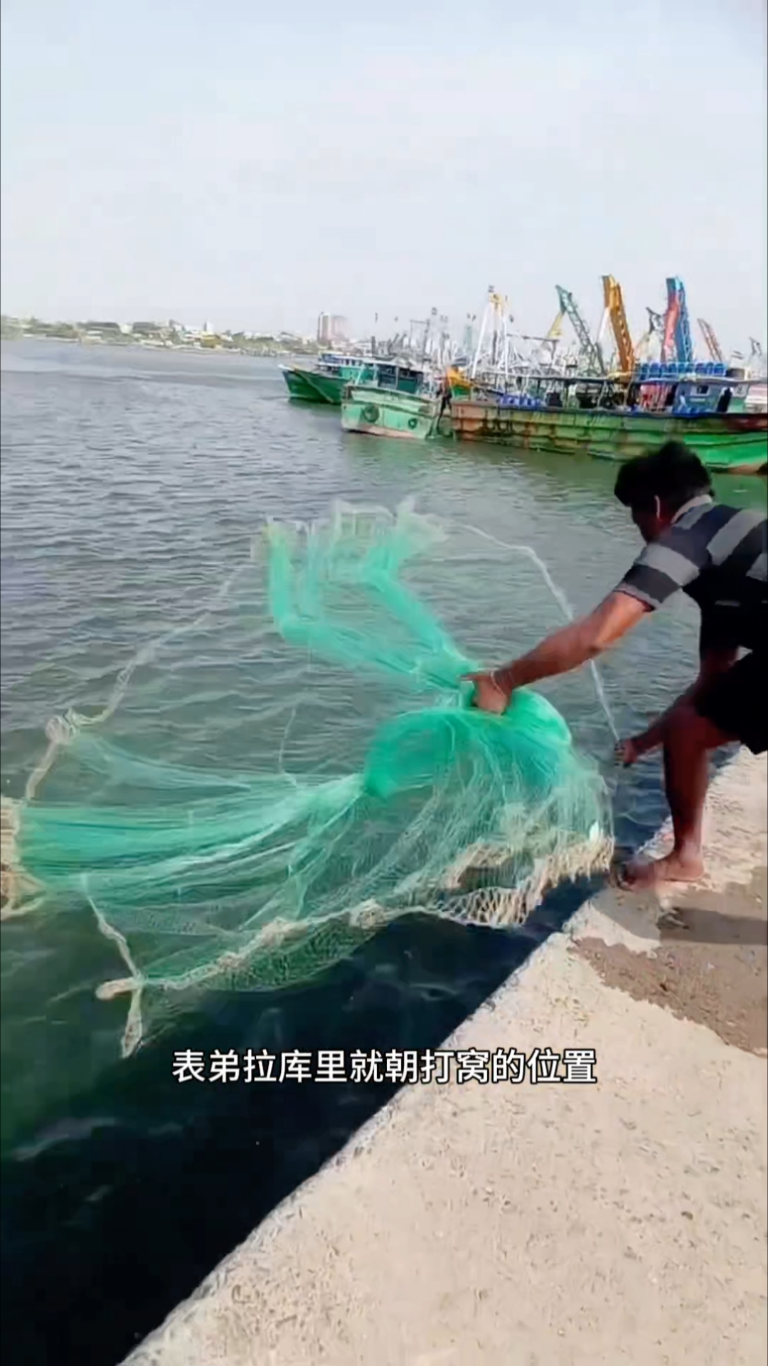 渔民用鱼内脏打窝,在撒网捕鱼,到底能捕捉到多少海货呢