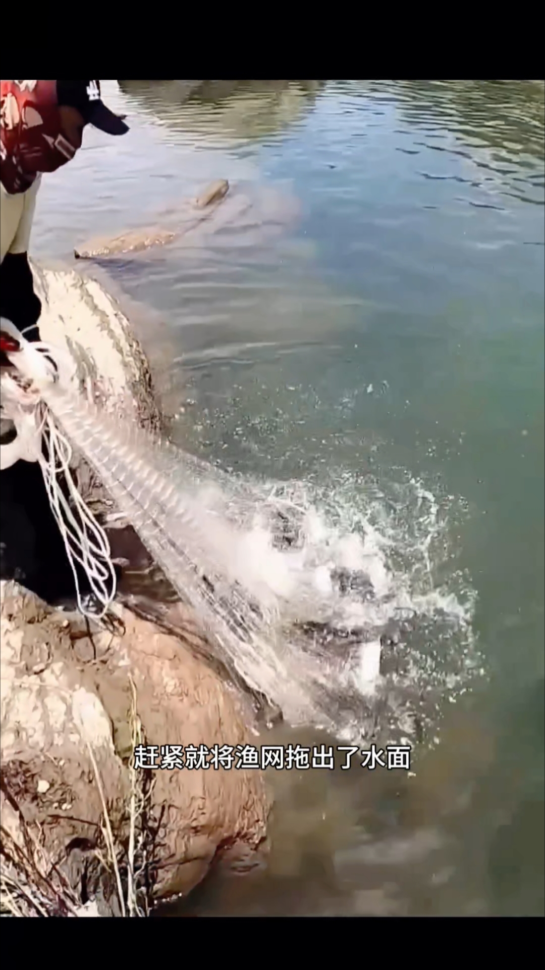 河中撒网捕鱼,一网就收获十来斤,太刺激了