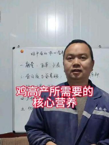 散养土鸡产蛋多的原因,就是营养均衡 蛋多多 养鸡小妙招 养鸡技术 提高产蛋率 养鸡
