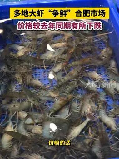 价格较去年同期有所下跌 合肥本地 合肥周谷堆农产品批发市场 虾子  大皖新闻讯 进入夏季,