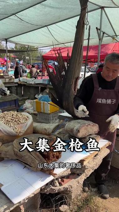 山东大集金枪鱼，30一斤 秋日治愈系美食 我的乡村生活 原创视频 海鲜水产 强烈推荐