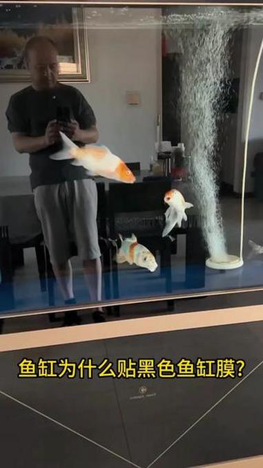 黑色鱼缸背景贴纸防水高清自粘窗户装饰双面玻璃贴纸#黑色鱼缸背景贴纸 #鱼缸贴背景纸 #鱼缸