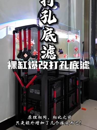 裸缸爆改打孔底滤！升级版！复刻吧！鱼缸开孔 工业风底滤 沉淀仓过滤