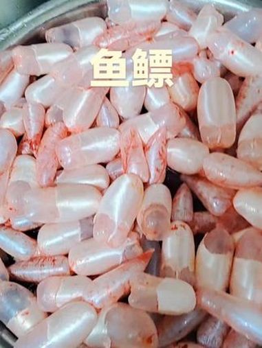 鱼鳔 抖音美食 抖音美食推荐官 同城美食 海鲜美食诱惑你 跟着抖音做美食