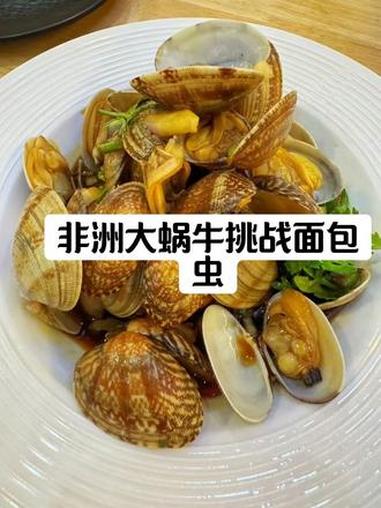 把非洲大蜗牛放在面包虫一个晚上 #入侵物种#非洲大蜗牛#面包虫 #韩式蔬菜拌饭的热量 #豆