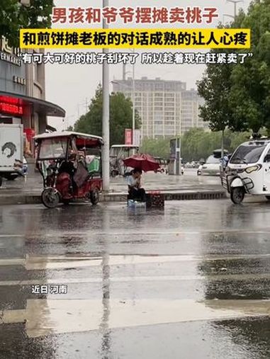 近日,河南。男孩和爷爷摆摊卖桃子,和煎饼摊老板的对话成熟的让人心疼,“有可大可好的桃子刮坏