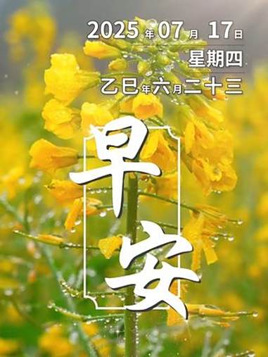 今天是7月17日,早安。地铺金毯,花开有财。新的一天,愿您吉祥安康,自由自在。油菜花