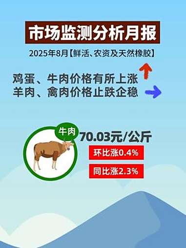 8月份鸡蛋、牛肉、蔬菜价格上涨,玉米、水果价格下跌 物价 牛肉 民生