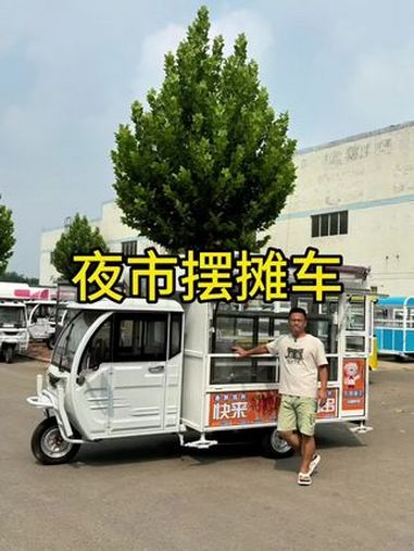 夜市摆摊车咱这么设计,好看又实用!比较火的炸串、铁板鱿鱼、铁板豆腐都能做!炸串车 铁板鱿鱼