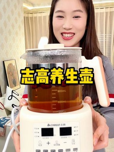 养生壶 煮茶器 泡茶神器 电茶炉 养生茶