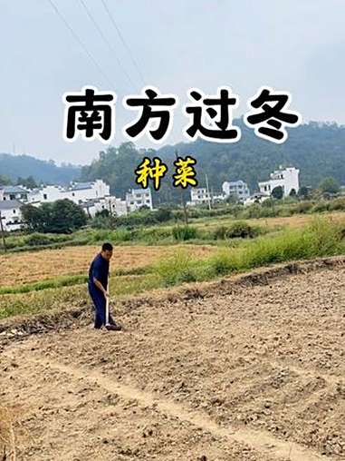 种菜 为了能安稳过冬，90后小伙一口气在田里种了十几种菜，都看看有啥吧 我的乡村生活 种菜