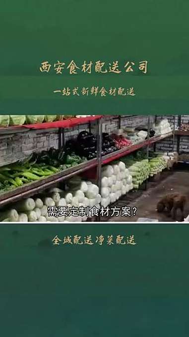源头直采养老机构食材关怀让优质食材惠及万家，不试试这家，咋吃鲜食材？西安无公害蔬菜配送全程