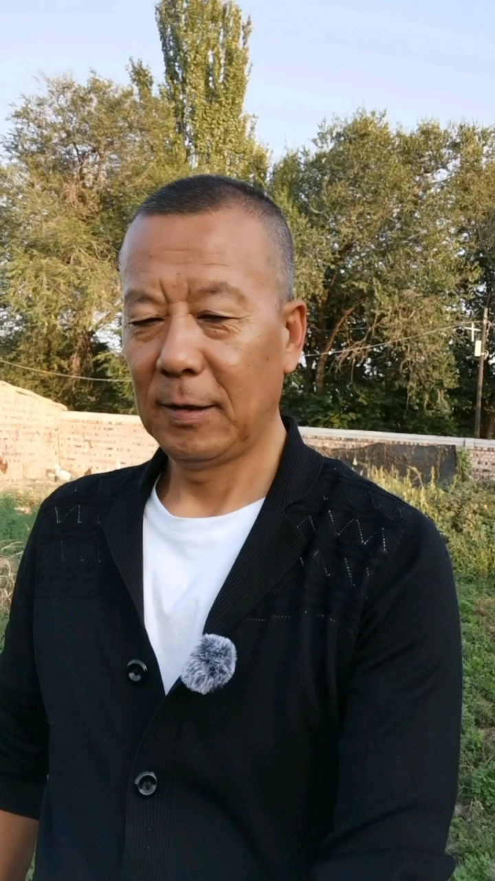 为什么要养猫狗?