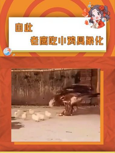 原来黑猫警长是写实的!跟吃港荣蒸蛋糕似的,一口一个根本停不下来 老鹰抓小鸡 老鹰抓小鸡游戏