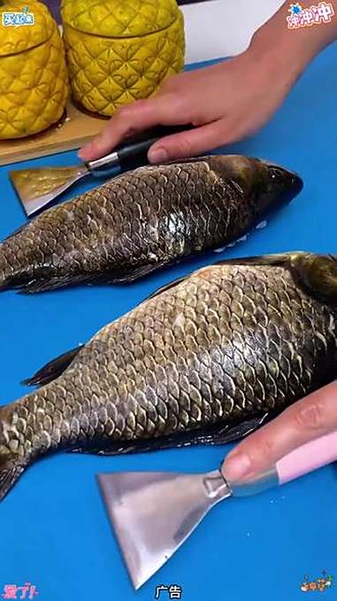 不锈钢鱼鳞刀,一款集开鱼肚与刮鱼鳞功能于一体的厨房神器,既方便又实用,是每个厨房的必备之选